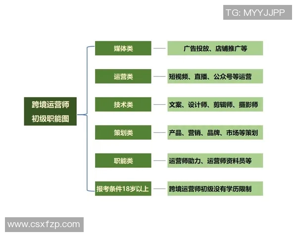杭州排球队团队协作表现的深入数据分析与探讨