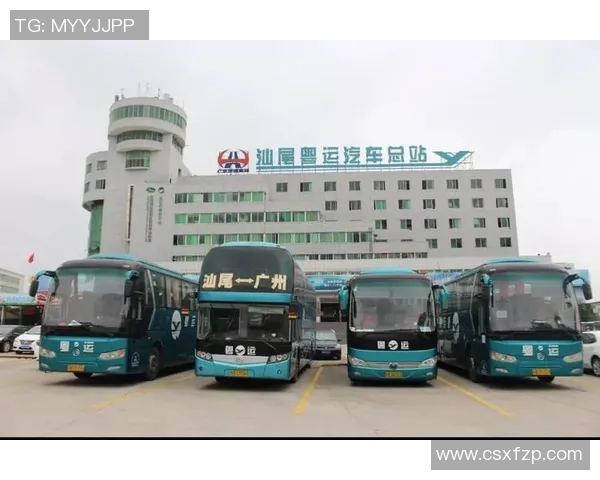 武汉篮球队转型之路的真实记录与发展历程探索