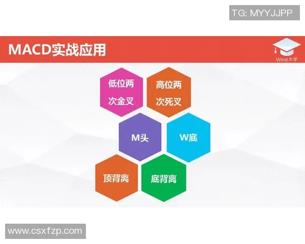 深度分析北京乒乓球队防守战术的独特魅力与实战应用