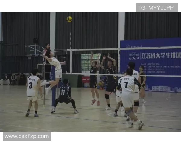 杭州排球队在全国排球意识排行榜中荣获第六名展现团队实力与潜力