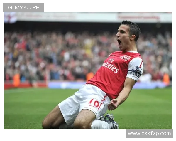 在绿茵场上亲吻草地的足球明星们的奋斗与荣耀