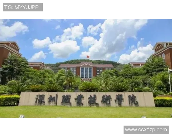 深圳篮球队灵活性创新高引发关注成就新里程碑