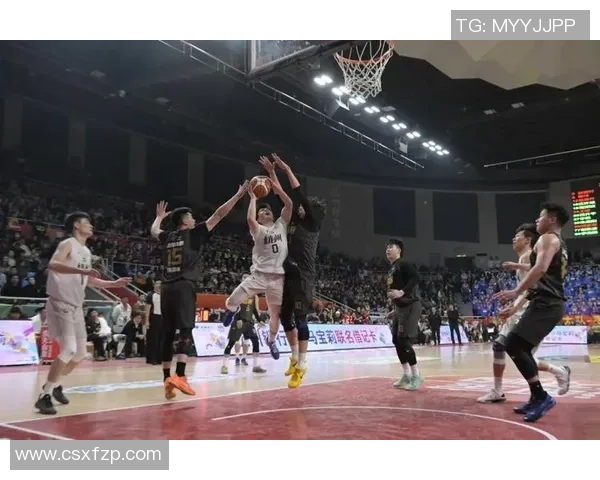 杭州篮球队比赛经验分享与分析助力球队成长与发展