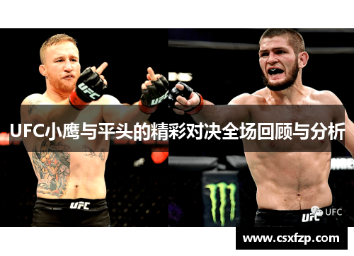 UFC小鹰与平头的精彩对决全场回顾与分析